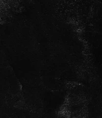 I.N. San Francisco Faux Fur Novelty Brooch Shrug