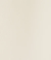 Ignite Evenings Multi Wear Chiffon Shawl