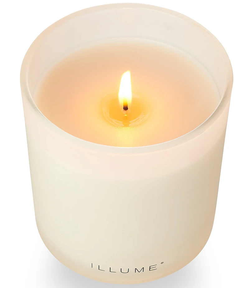 Illume Candles Driftwood Boxed Glass Candle, 10.5 oz.