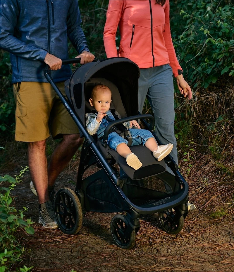 Inglesina Aptica XT Stroller & Bassinet + Stand
