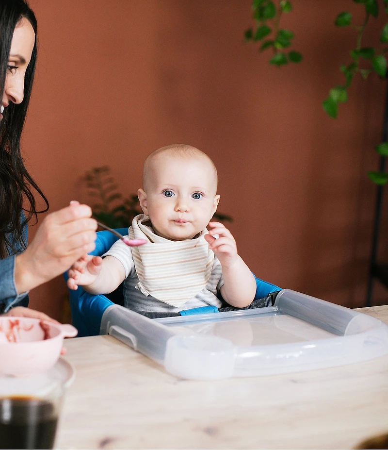 Inglesina Fast Dining Tray Plus for Inglesina Fast Table Chair