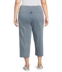 Intro Plus Size Teri Love the Fit Knit Straight Leg Tummy Control Capri Leggings