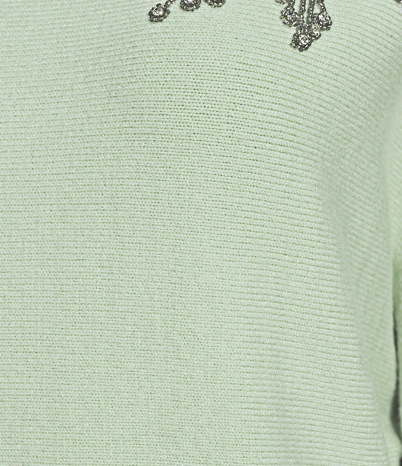 Investments Haute Embellished Long Sleeve Boat Neck Sweater