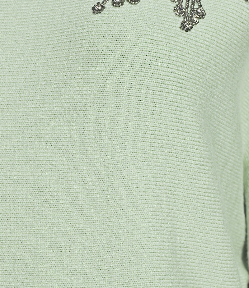 Investments Haute Embellished Long Sleeve Boat Neck Sweater