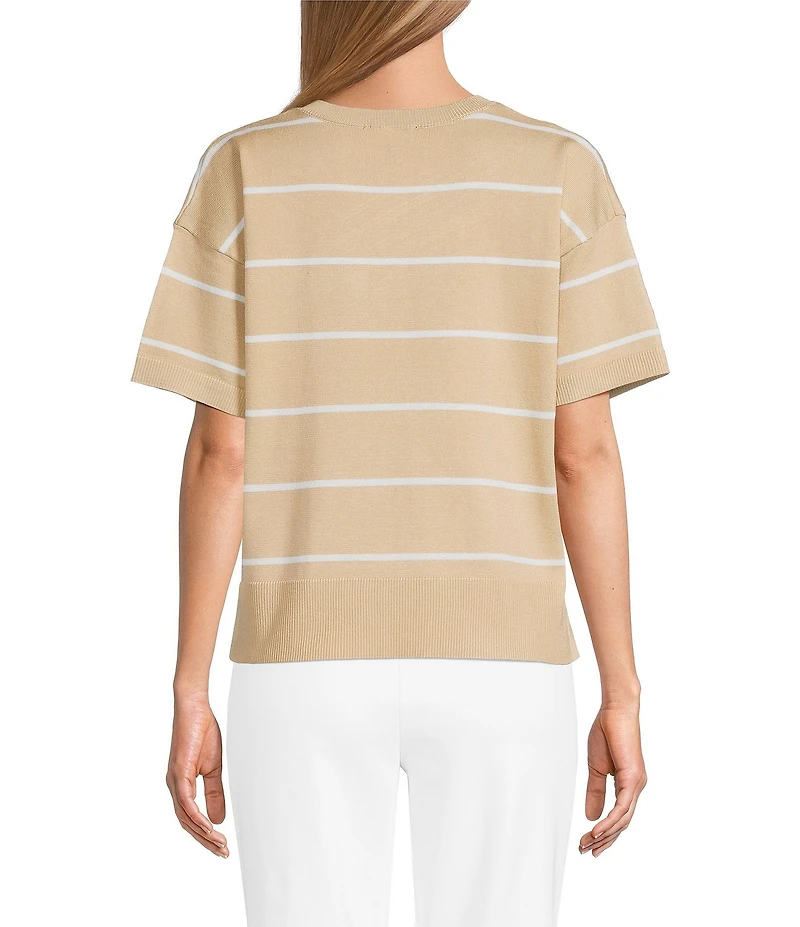 Investments Petite Size 3/4 Sleeve V-Neck Striped Sweater Top