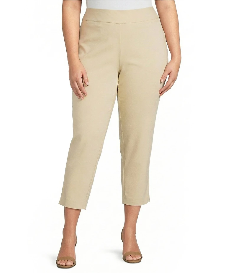 Investments Plus Size the PARK AVE fit Elite Stretch Ankle Straight Pants