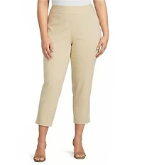 Investments Plus Size the PARK AVE fit Elite Stretch Ankle Straight Pants