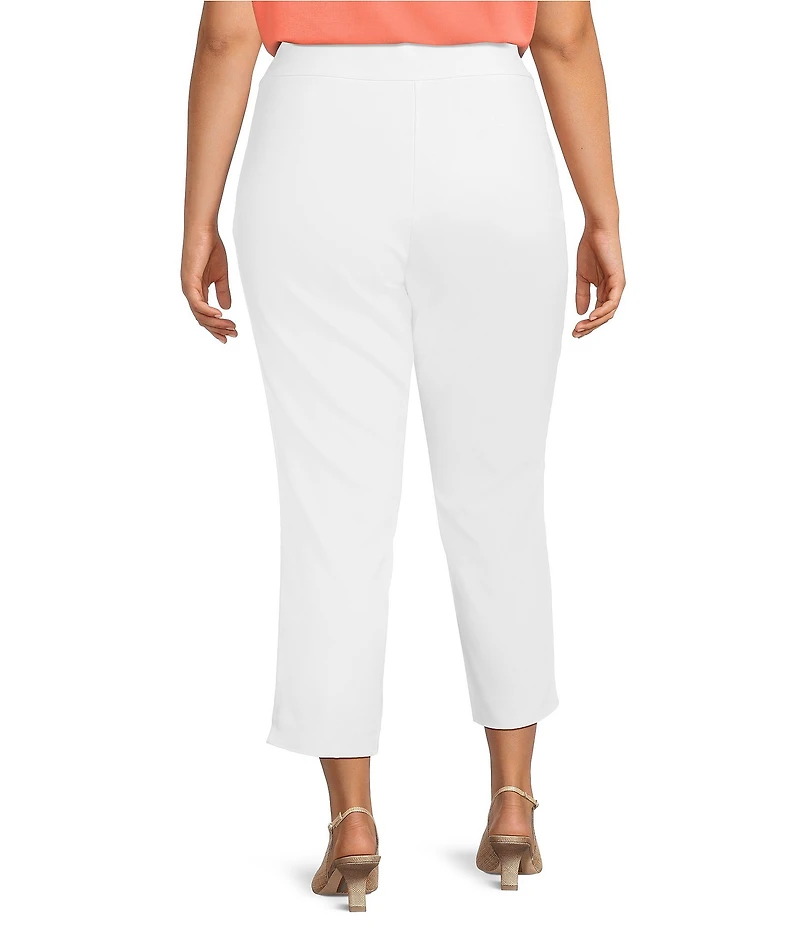 Investments Plus Size the PARK AVE fit Elite Stretch Ankle Straight Pants