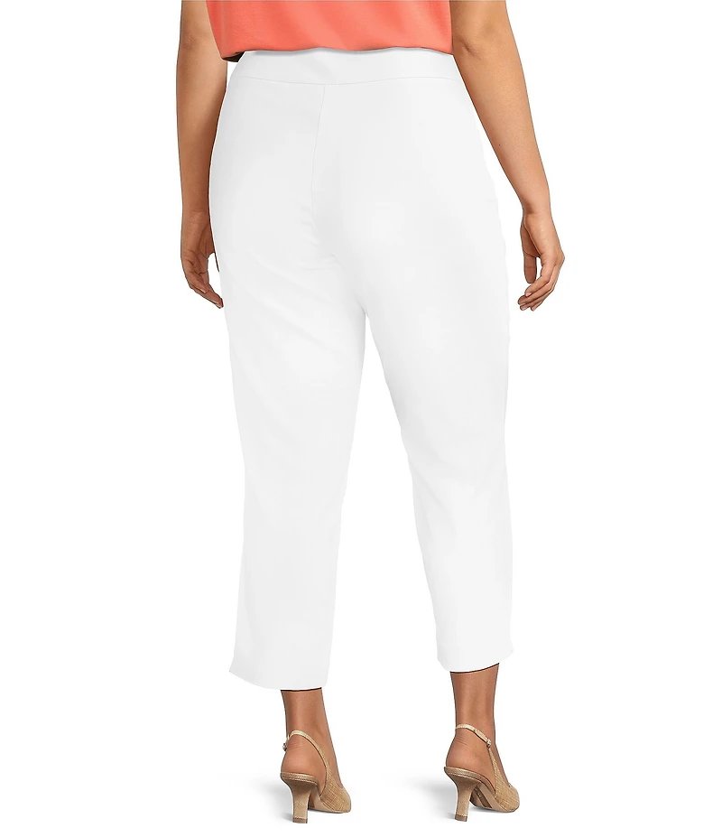 Investments Plus Size the PARK AVE fit Elite Stretch Ankle Straight Pants