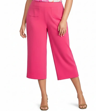 Investments Plus Size the PARK AVE fit Elite Stretch Wide Leg Crop Pants