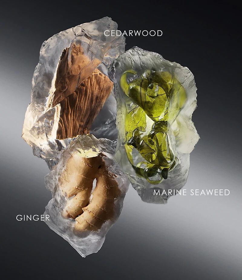 Issey Miyake Le Sel d'Issey Eau de Toilette