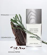 Issey Miyake L'Eau d'Issey Pour Homme Eau de Parfum