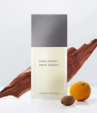 L 'Eau d'Issey Pour Homme Eau de Toilette Spray