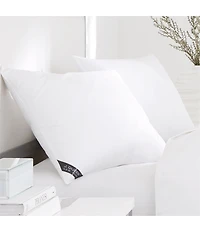 J. Queen New York Royalty 2-Pack 233 Thread Count Soft Pillows