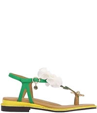 J. Renee Dazee Daisy and Bee T-Strap Toe Loop Flat Sandals