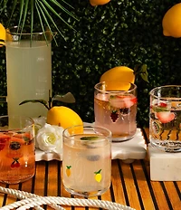 Jeanne Fitz Assorted Fruits Icon Glasses, Set of 4