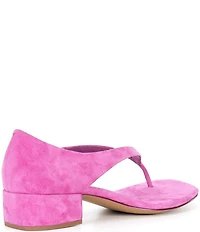 Jeffrey Campbell Emelie Suede Closed Back Block Heel Thong Sandals