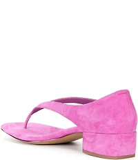 Jeffrey Campbell Emelie Suede Closed Back Block Heel Thong Sandals