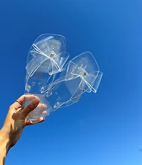 Jeffrey Campbell Sugary Jelly Bow Thong Sandals