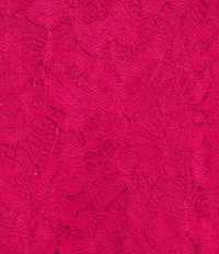 Jessica Howard Short Sleeve Lace Fit and Flare Dress