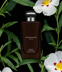 Jo Malone London Amber Labdanum Cologne Intense