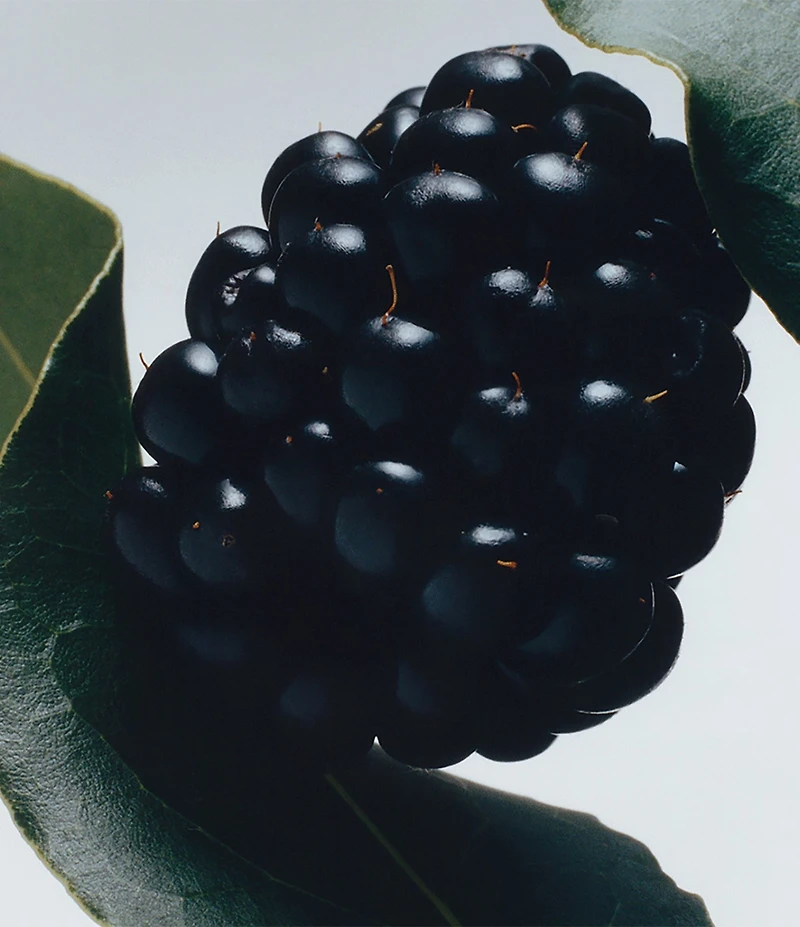 Jo Malone London Blackberry & Bay Body & Hand Wash