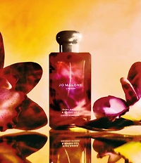 Jo Malone London Dark Amber & Ginger Lily Cologne Intense, 3.4-oz.