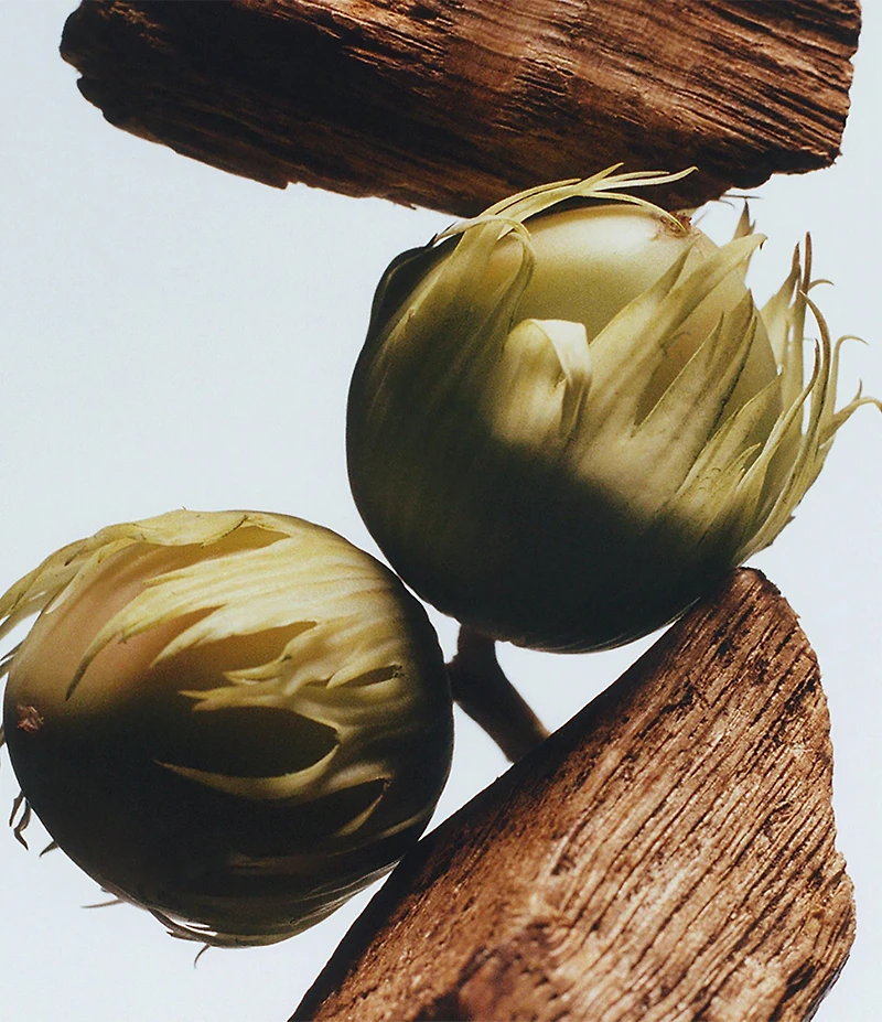 Jo Malone London English Oak & Hazelnut Cologne