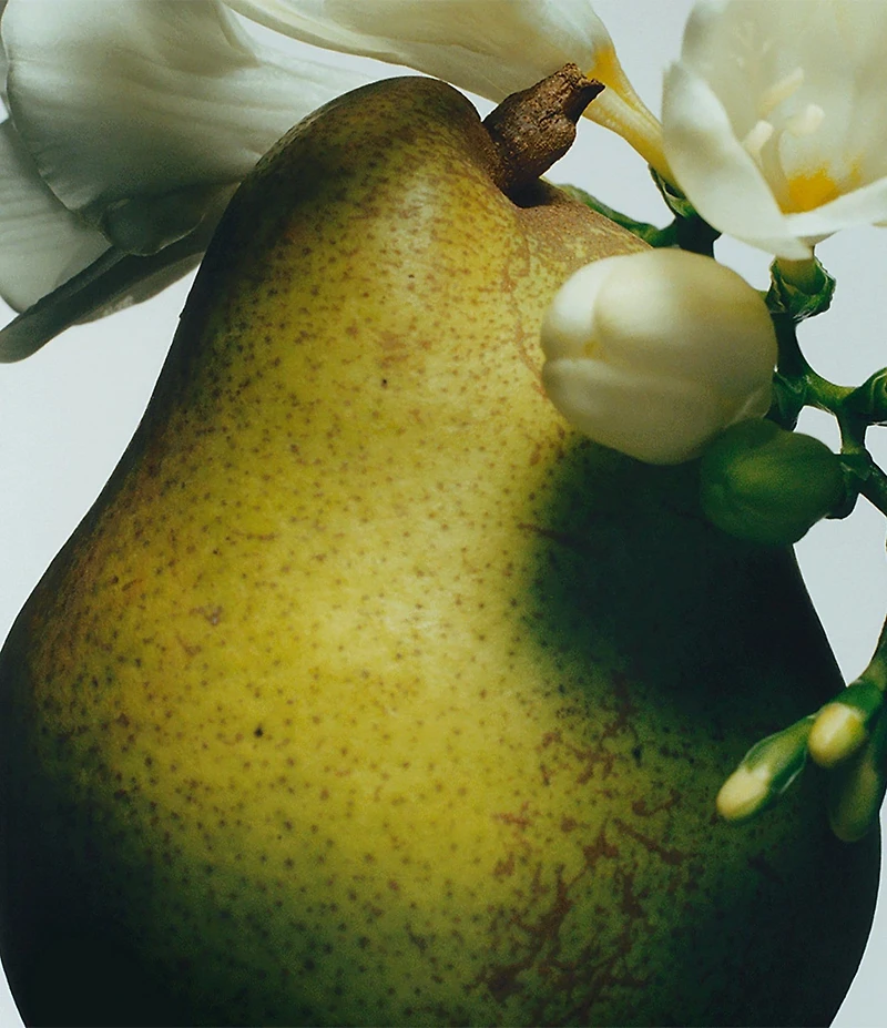 Jo Malone London English Pear & Freesia Body Creme