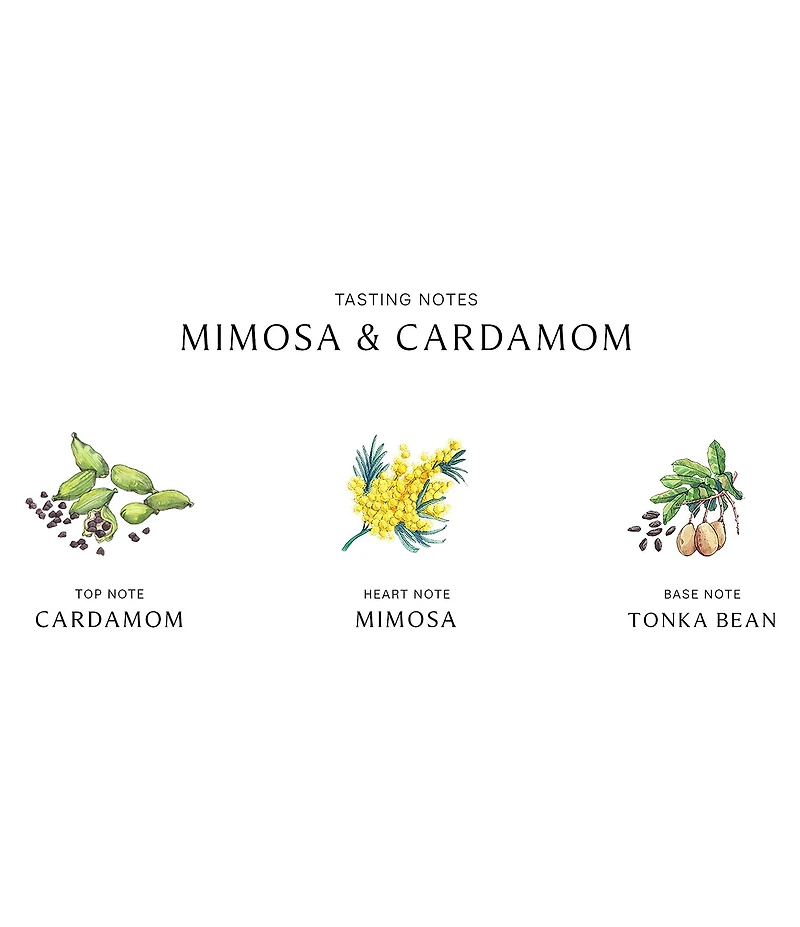 Jo Malone London Mimosa & Cardamom Cologne