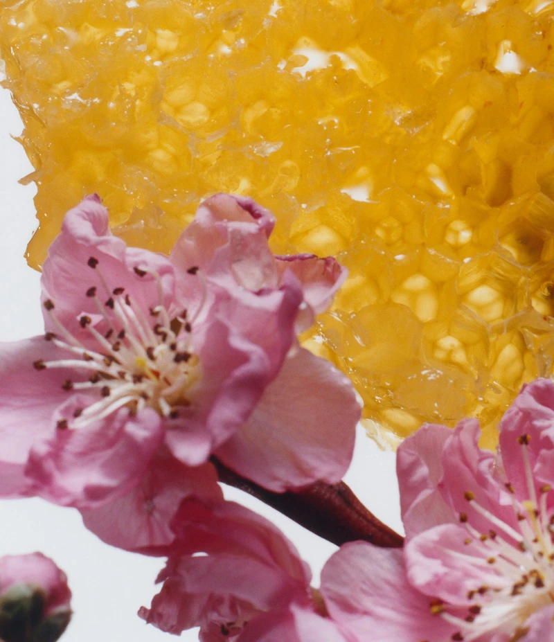 Jo Malone London Nectarine Blossom & Honey Body & Hand Lotion
