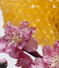 Jo Malone London Nectarine Blossom & Honey Body & Hand Lotion