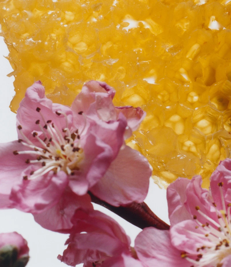 Jo Malone London Nectarine Blossom & Honey Body Creme, 5.9-oz.