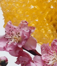 Jo Malone London Nectarine Blossom & Honey Cologne, 0.3-oz.