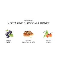 Jo Malone London Nectarine Blossom & Honey Cologne