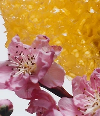 Jo Malone London Nectarine Blossom & Honey Home Candle, 7-oz.