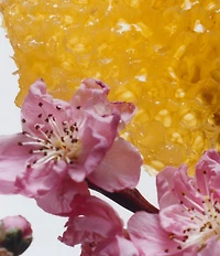 Jo Malone London Nectarine Blossom & Honey Candle, 7 oz.