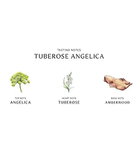 Jo Malone London Tuberose Angelica Cologne Intense