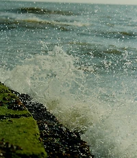 Jo Malone London Wood Sage & Sea Salt Exfoliating Shower Gel, 6.7-oz.