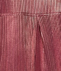 John Mark Woven Point Collar Short Dolman Sleeve Shimmer Pleat Button Front Blouse