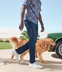 Johnston & Murphy Men's Ackerson Knit Plain Toe Sneakers