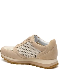 Johnston & Murphy Women's Piper Suede Crochet Lace Up Sneakers