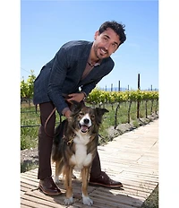 Johnston & Murphy XC4 Star Grid Print Long Sleeve Woven Shirt