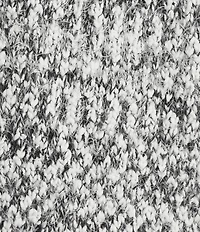 Jones New York Knit Shawl Collar Long Sleeve Open Front Cardigan