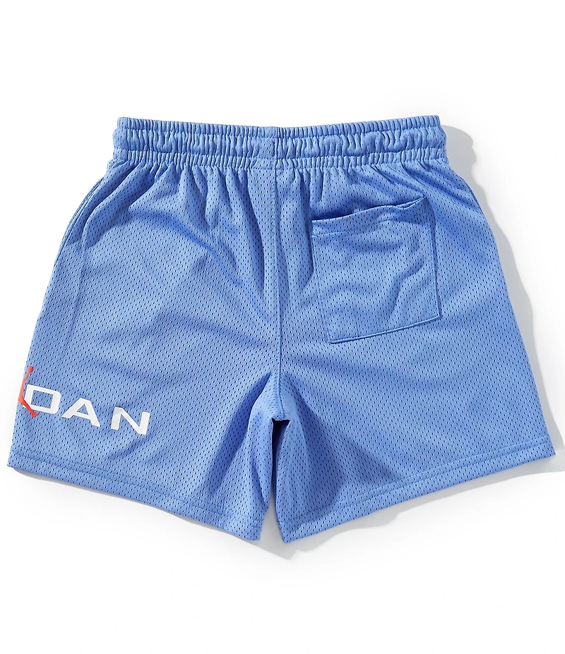 Jordan Big Boys Baseline Mesh Shorts