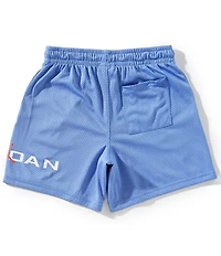 Jordan Big Boys Baseline Mesh Shorts