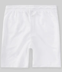 Jordan Big Boys Essentials Mesh Shorts