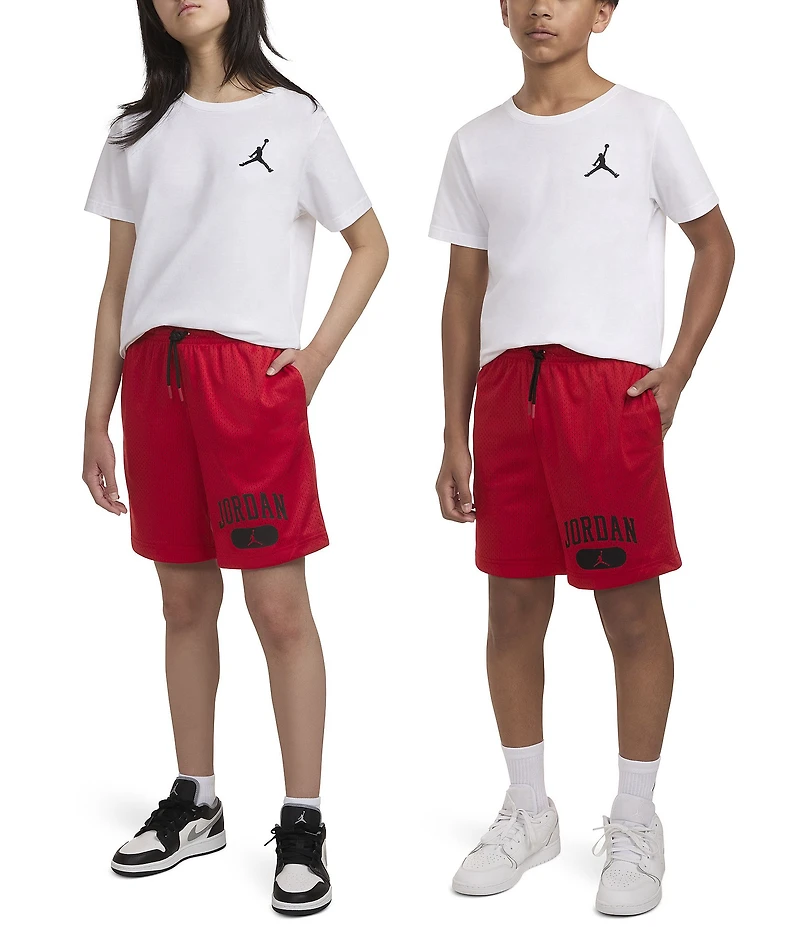 Jordan Big Boys Jordan Mesh PE Shorts