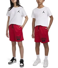 Jordan Big Boys Jordan Mesh PE Shorts