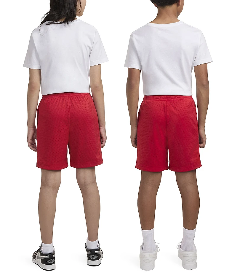 Jordan Big Boys Jordan Mesh PE Shorts